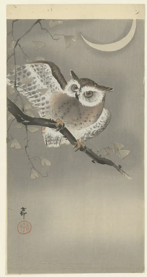 Owl on a Ginkgo Branch by Ohara Koson